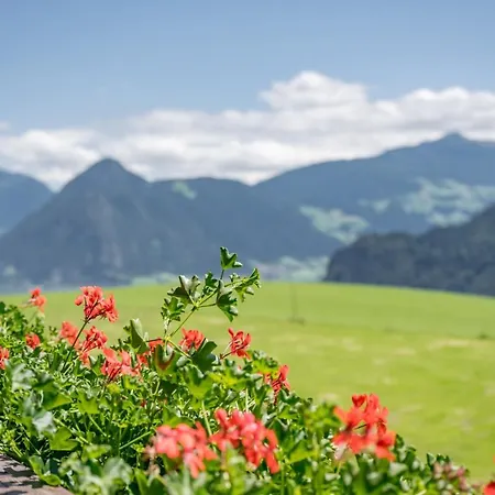 Und Rieder Gmbh Casa de hóspedes 3*